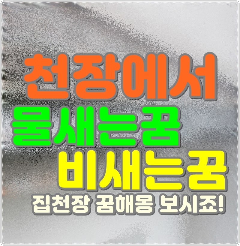 천장에서 물새는꿈 비새는꿈 집천장 꿈해몽 보시죠!