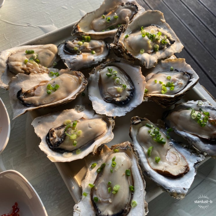  하동- 재첩국/ 재첩전/ 재첩회무침 + 벚굴이 맛있었던 해성재첩식당