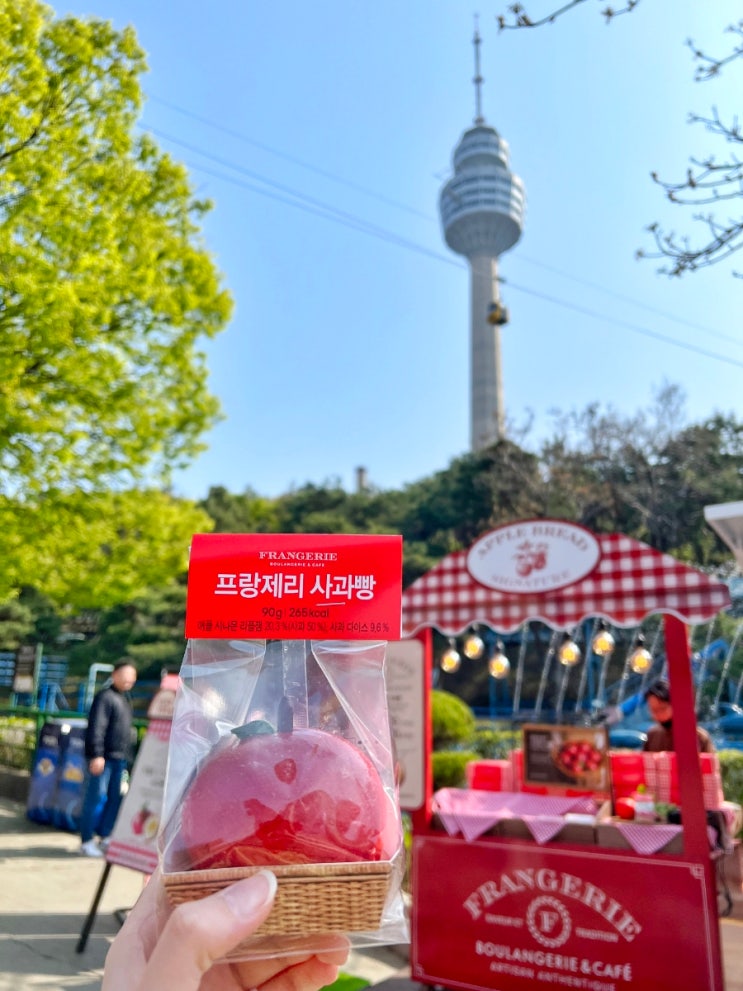 친구와 대구 기차여행 프랑제리 사과빵 in 대구 이월드 오픈런 후기