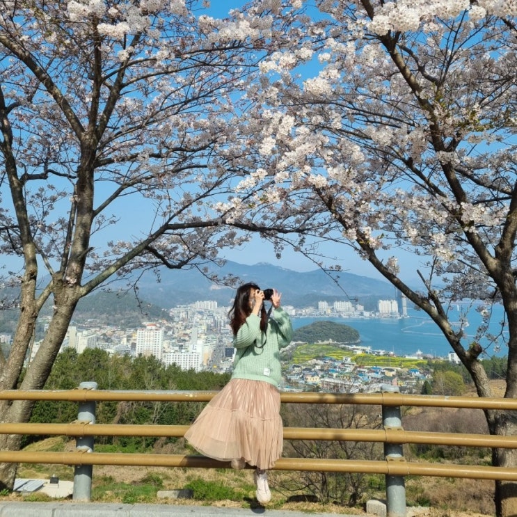  전라남도 가볼만한곳 완도타워 명사십리해수욕장 완도수목원 완도여행 해양치유코스