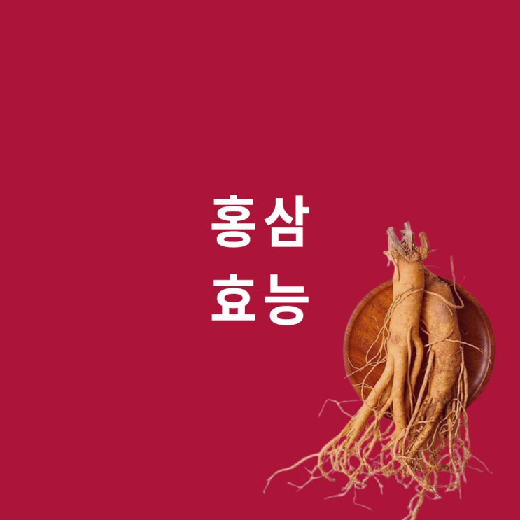  홍삼 : 효능 효과, 진세노사이드, red ginseng