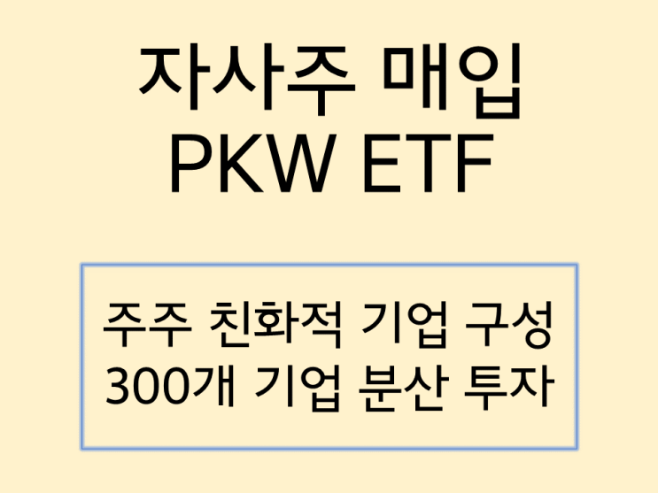  PKW ETF  매년 자사주 매입하는 미국 기업 구성