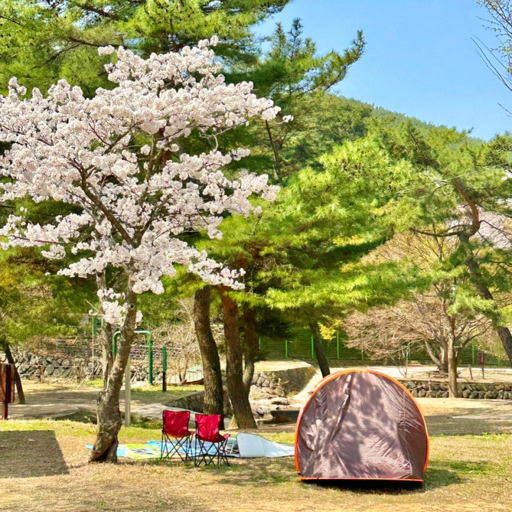 금오산야영장 구미캠핑장 예약방법및 이용후기