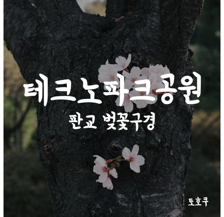  판교: 테크노파크공원 산책하며 벚꽃 즐기기