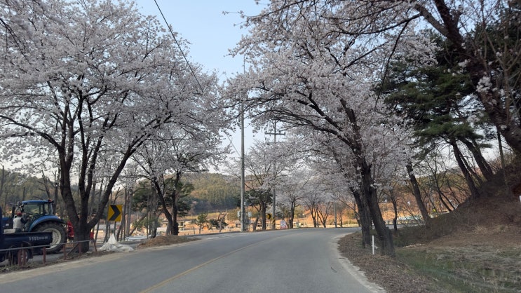  원주 드라이브 코스 경치 보며 가기 좋은 칠봉 카페