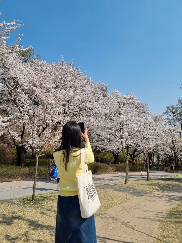 ‘북서울꿈의숲:: 진짜 제대로 봄 만끽하기 feat. 사람 많이 없는 벚꽃 명소