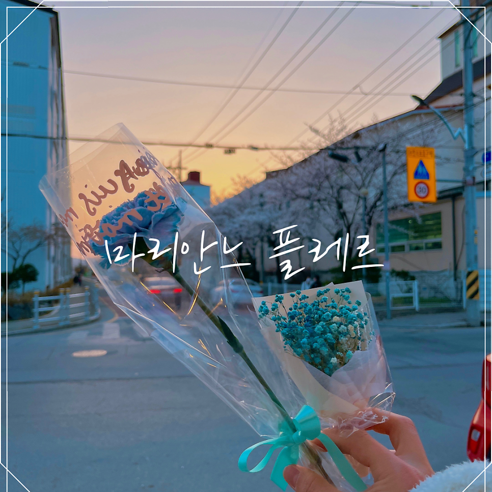 마리안느플레르 사진 1