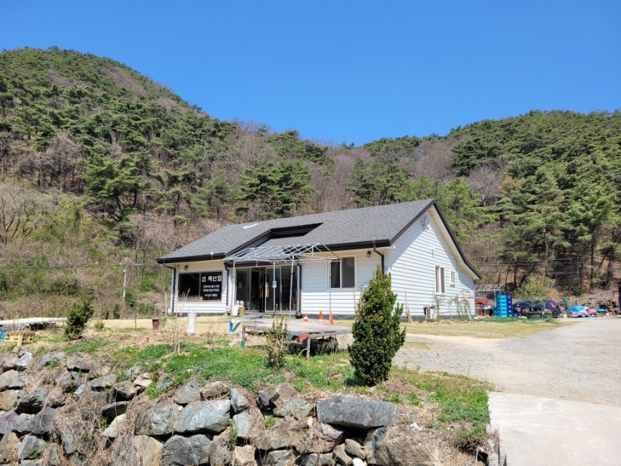 신백년 사진 1