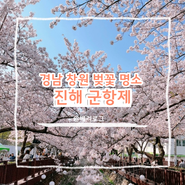  진해 군항제 경화역, 여좌천 숨은 벚꽃 포토 스팟 추천, 무박 2일 투데이 여행사로 여행 다녀온 후기