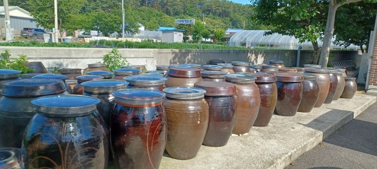  강원도 강릉 여행 연곡 하나로 마트 장 보기와 시골밥상 연곡 꾹저구탕