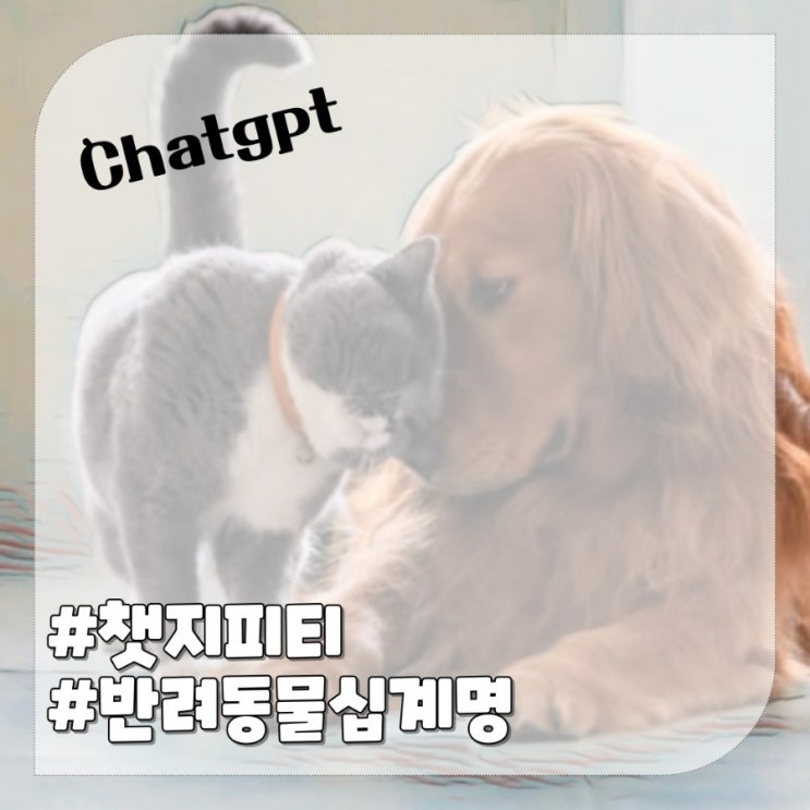  강아지고양이 반려동물 십계명 챗지피티로 만들어봤어요