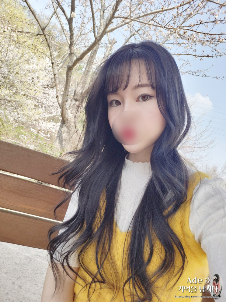  일상 ) 벚꽃놀이 가쟈~ 봄이니까 Ade 최근 일상