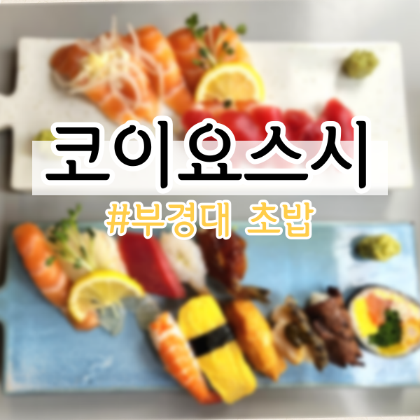  [대연동 초밥] 경성대, 부경대 맛집 <코이요스시> (후토마키, 남천동 초밥)