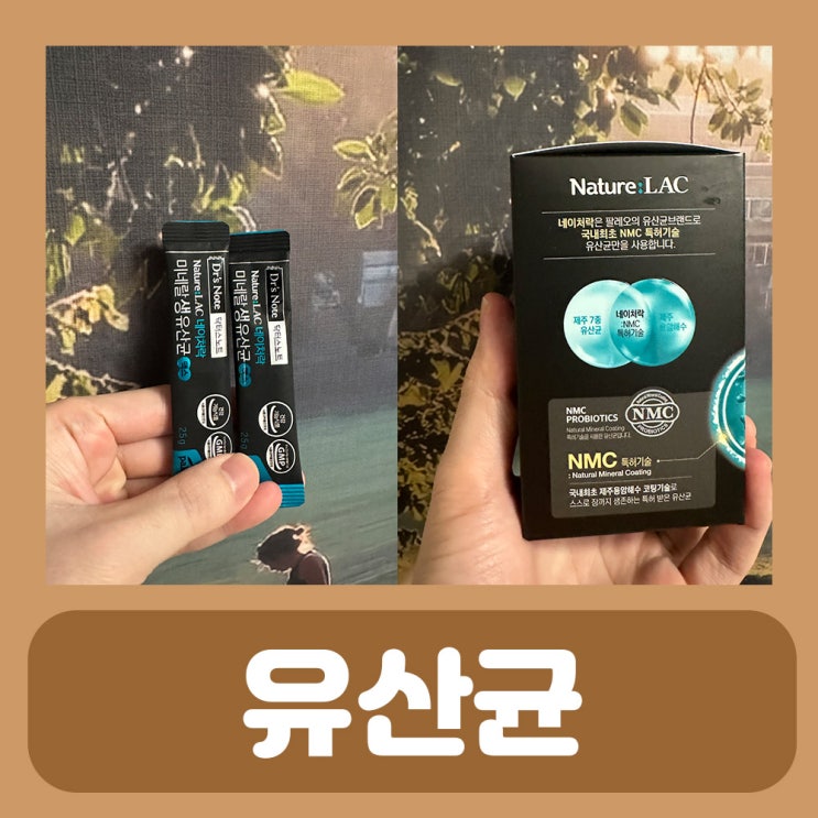  프로바이오틱스 유산균 추천 팔레오 닥터스노트 미네랄 생유산균 맥스 한국생활건강