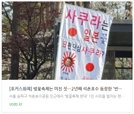 [오후뉴스] [포커스화제] "벚꽃축제는 미친 짓"…2년째 석촌호수 등장한 '반일 男'