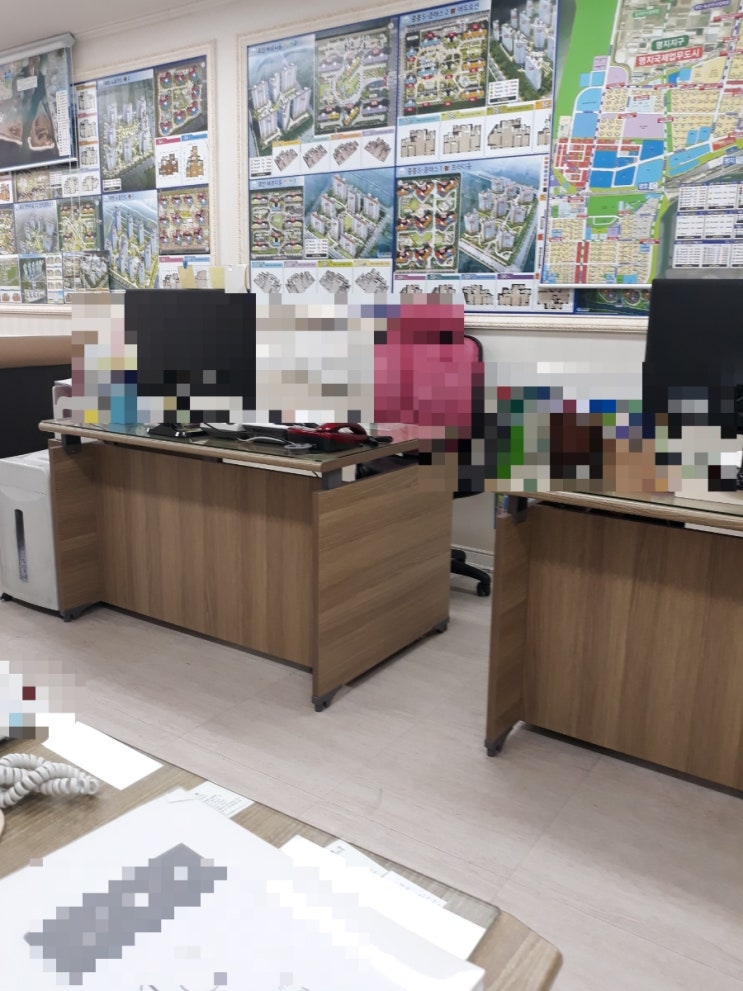  부동산 초보 소장이야기(명지국제신도시,준비편)