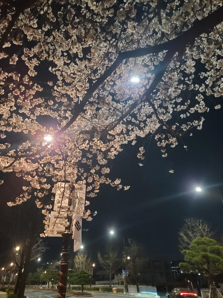 산책기록 3월 산책기록 3월