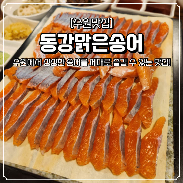  수원 조원동 맛집 동강맑은송어