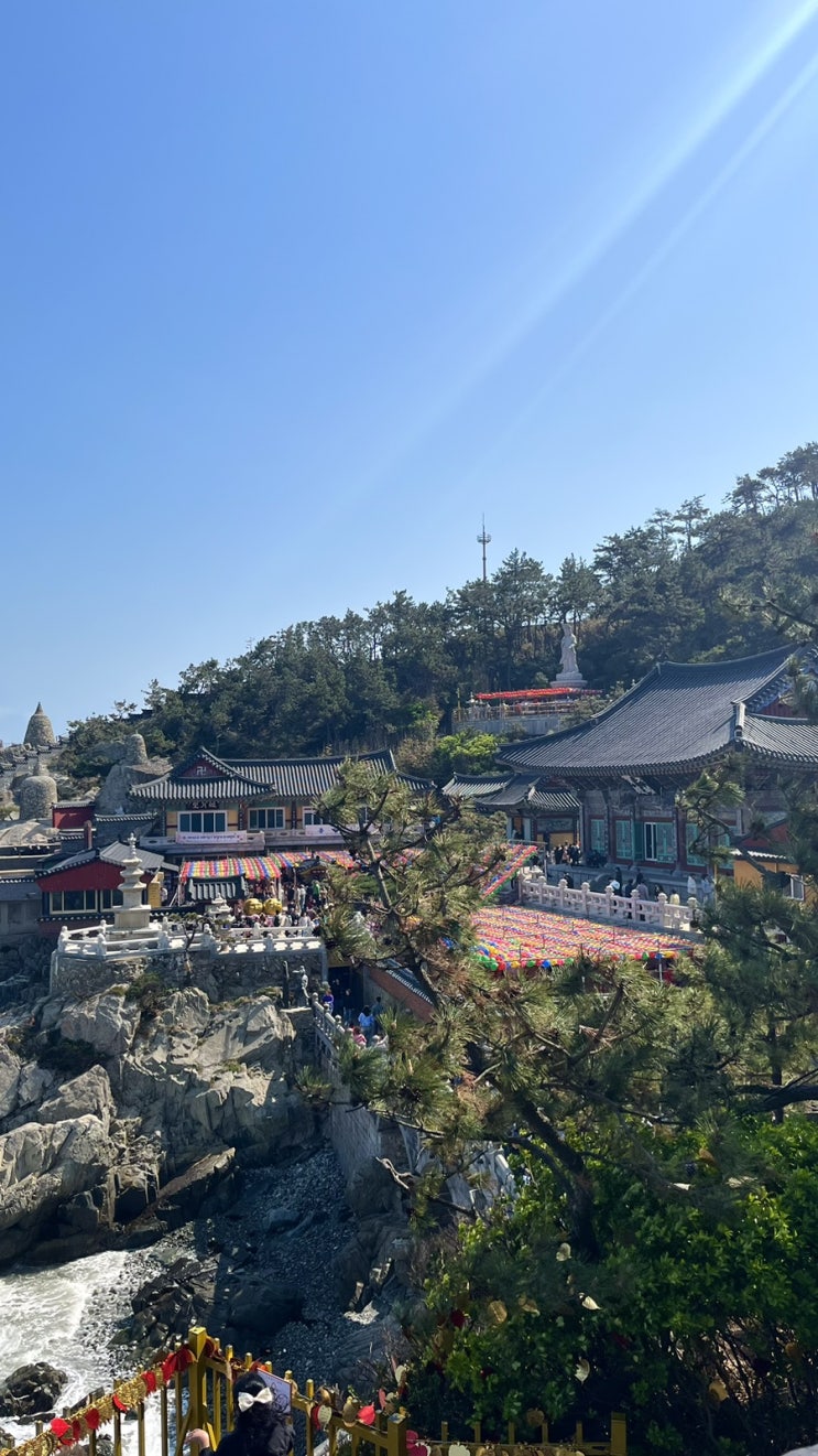  부산기장 해동용궁사 ㅣ꼭 추천하고싶은 부산 명소 
