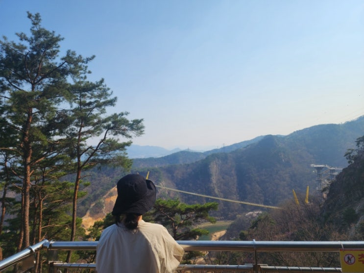  원주 가볼만한곳 소금산 그랜드밸리 출렁다리 울렁다리 너무 무서웠던 공포체험 후기