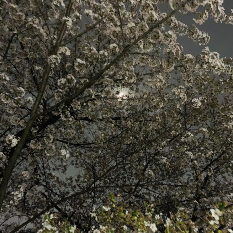  말랑말랑한 글