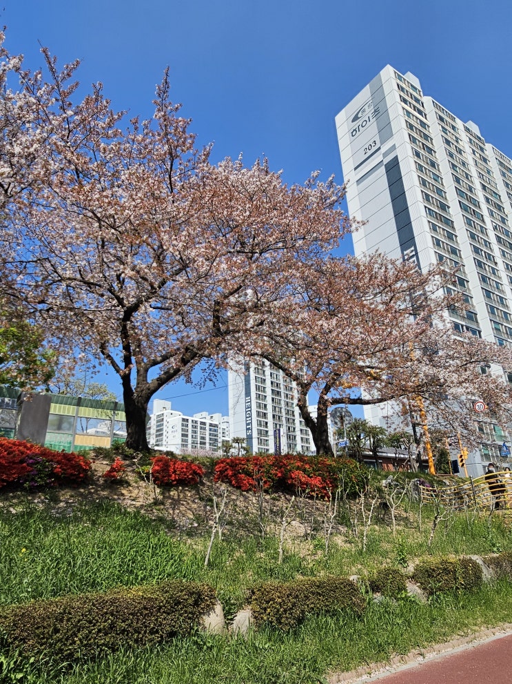  안락동_온천천 카페거리_카페아멜리_Amelie