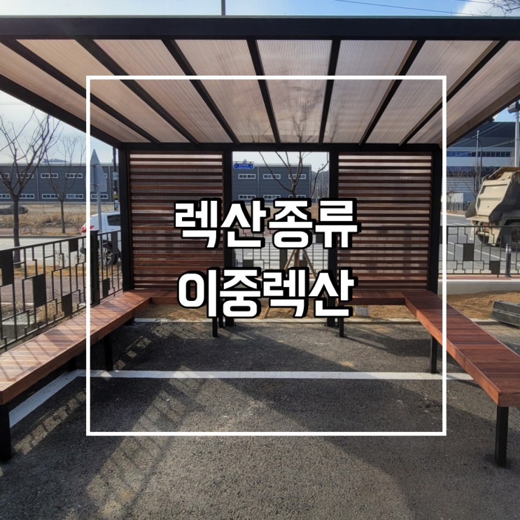  이중 렉산 렉산 종류 무엇이 있을까?