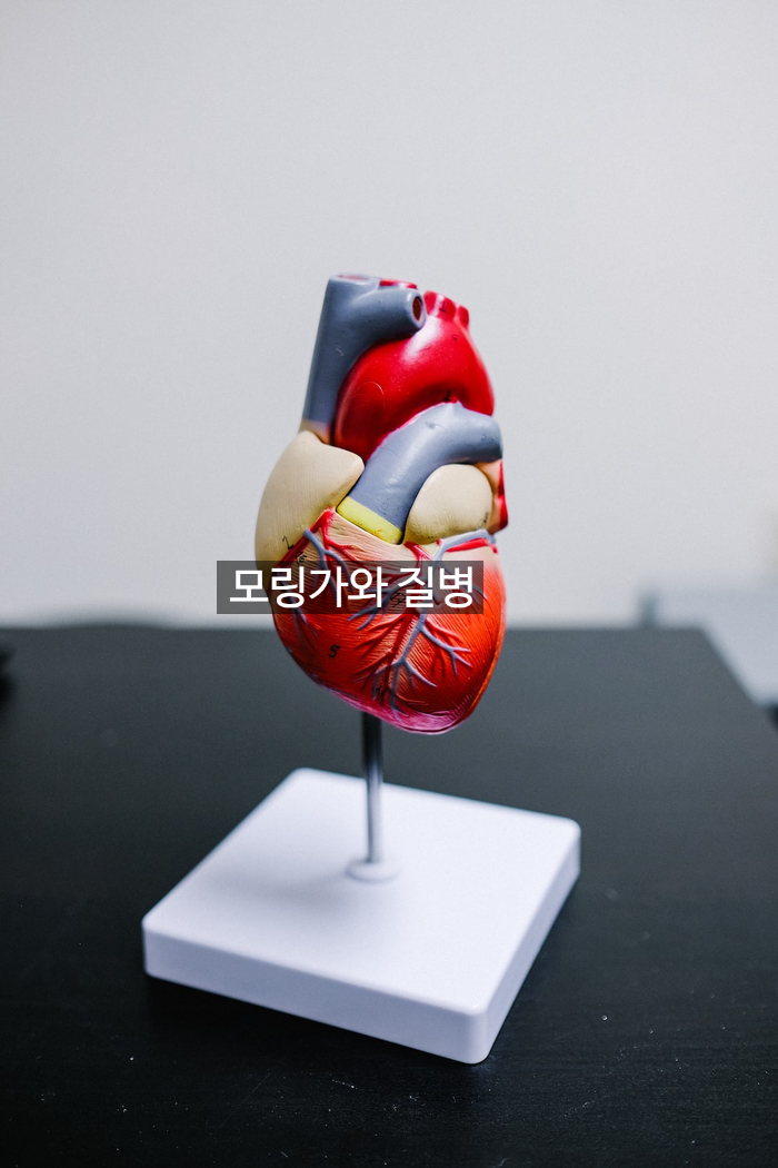  모링가와 질병
