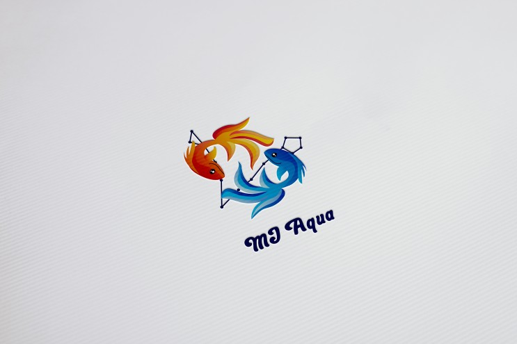 구피류 물고기 캐릭터 로고 디자인 제작