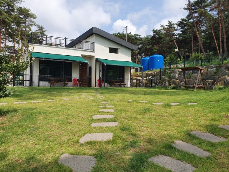 사진 5