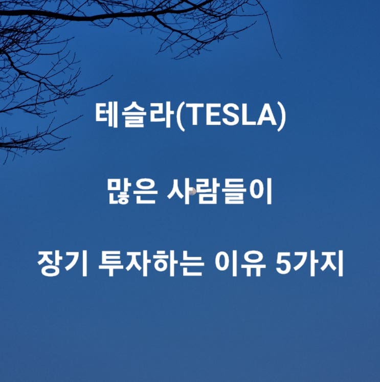  주식 투자 테슬라(TESLA)에 많은 사람들이 장기 투자하는 이유 5가지