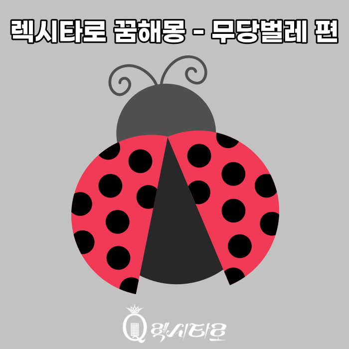 당신의 꿈을 풀어드립니다 - 무당벌레 꿈해몽