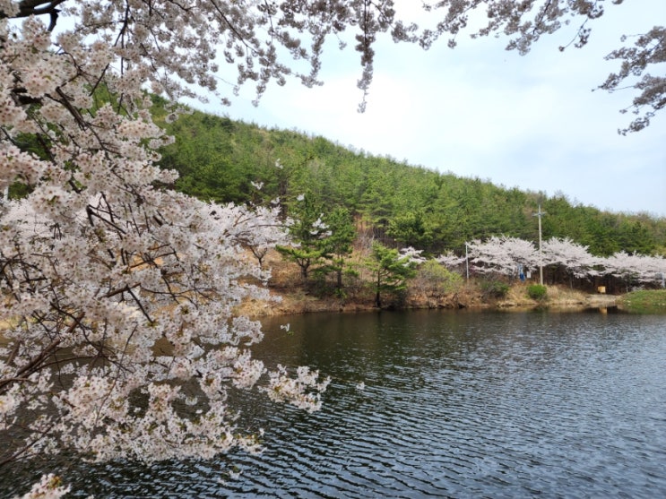  울산 경주 평온하고 아담한 우지곡저수지