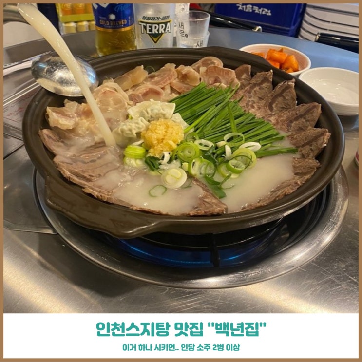  인천스지탕 백년집 부평점 술을부르는 최고의 안주