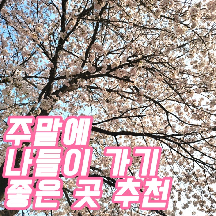  주말 나들이 갈만한 곳 BEST5 추천