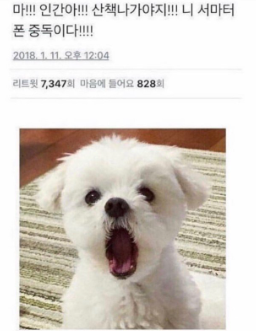  신녀성의 레미장센(안상아): 여성을 위한 인생공략집