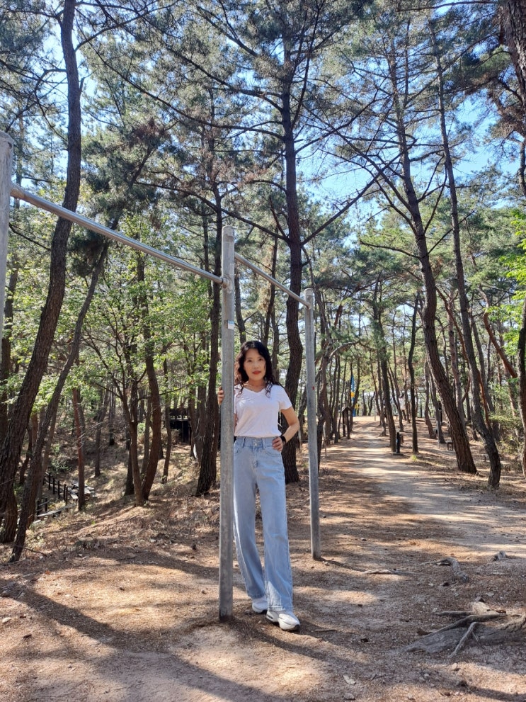  91일의 기록  일상 그리고 운동