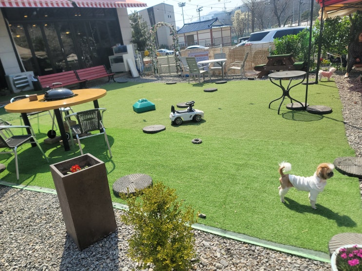  안양비산동맛집 꾸어바 애견동반가능 캠핑감성