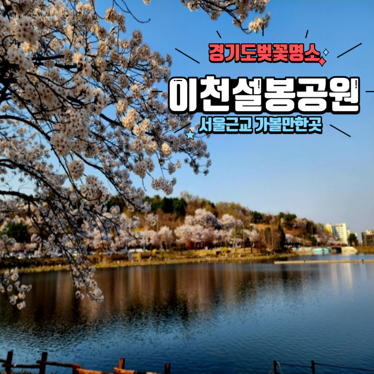  서울근교 경기도가볼만한곳 경기도벚꽃명소 저수지가 예쁜 이천 설봉공원 4/2 방문 개화상황 + 꽃개