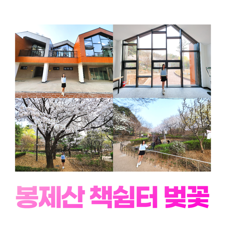 봉제산 책쉼터 시범운영 벚꽃 구경 공영주차장