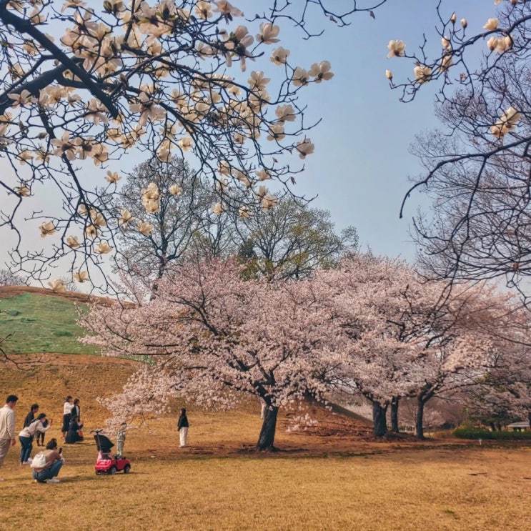  올림픽공원 산책