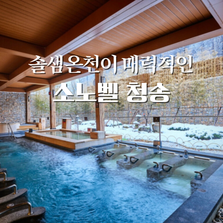  소노벨 청송 솔샘온천, 스위트 취사, 사과피자 후기