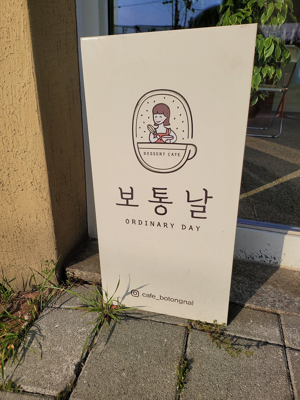 보통날 사진 2