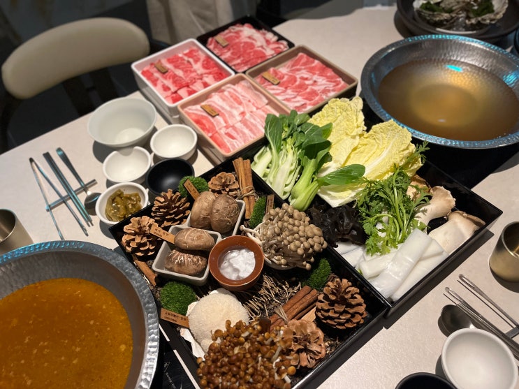  삼성역 코엑스 맛집 샤브샤브 노야샤브 : 베이직부터 프리미엄까지 완벽한 샤브샤브와 무한리필