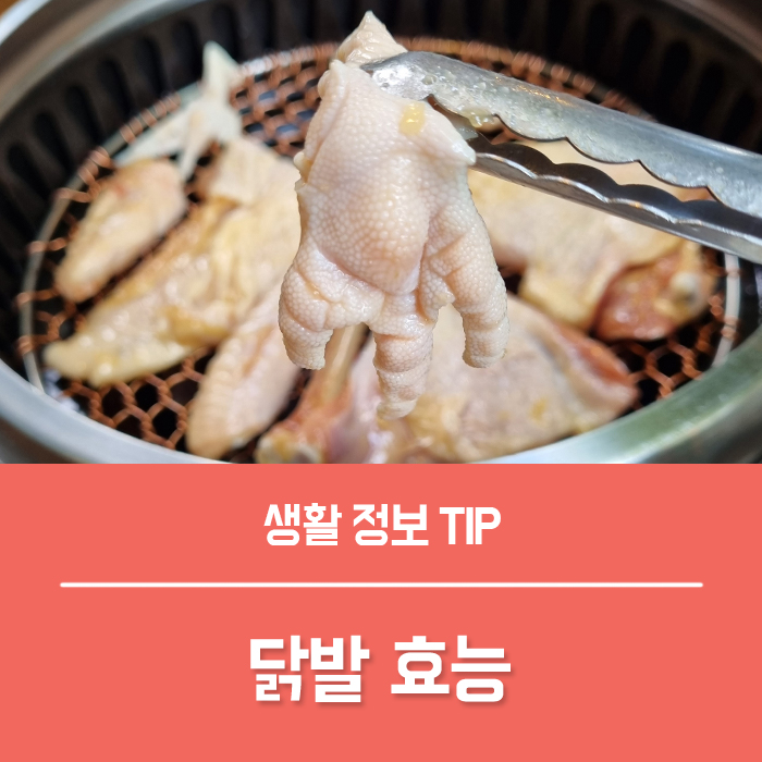  닭발 효능 TOP5 칼로리 부작용은?