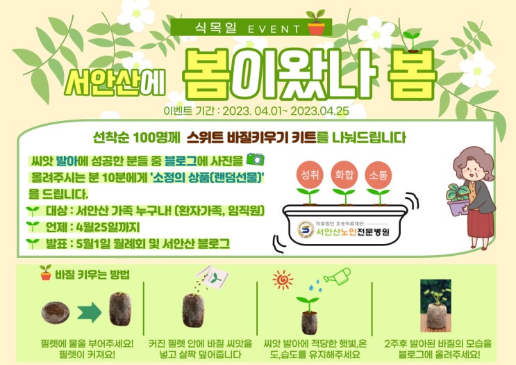  안산재활요양병원 4월 '봄이왔나봄' 바질키트 증정(100명)