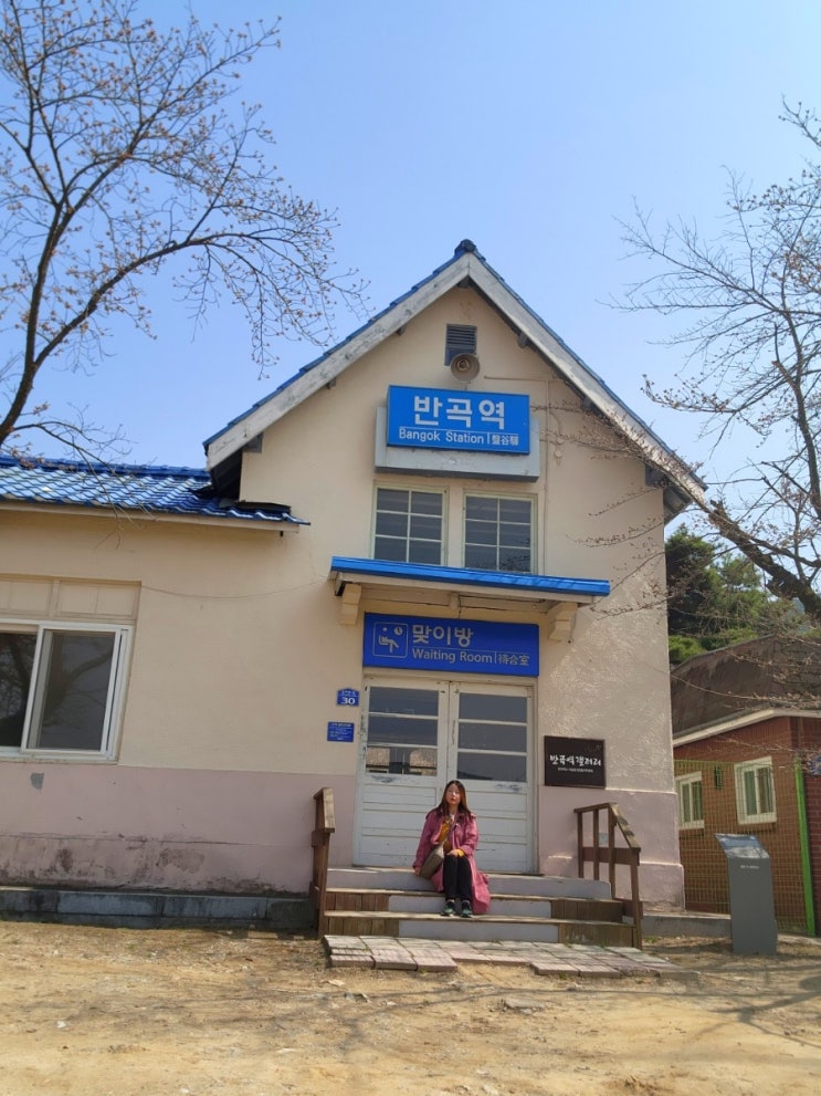  원주 가볼만한곳 뚜벅이 여행 벚꽃 명소  데이트 코스 반곡역 외 2곳