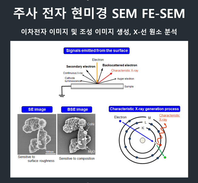 주사 전자 현미경 SEM 원리 요약, 이미지 생성 및 X-선 원소 분석 정리 (Ft. 전자빔과 시편의 상호작용)