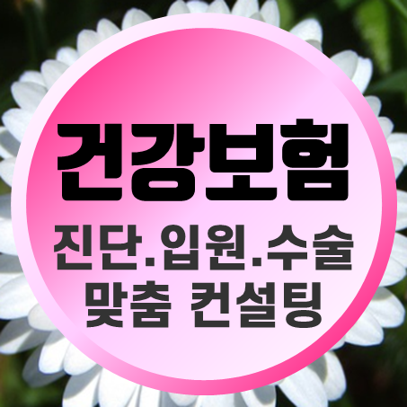  비갱신종합보험 추천 암진단비 뇌혈관 심장질환 입원비 수술비 맞춤 비갱신형건강보험 가격 비교 할 수 있어요.