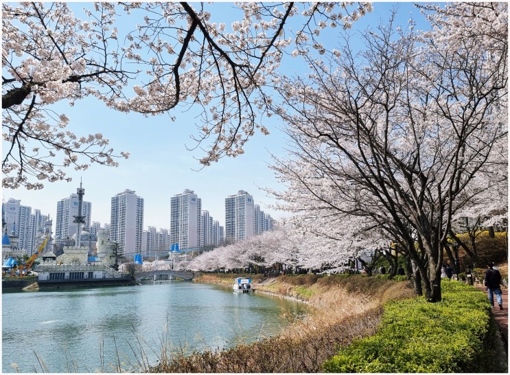 석촌호수 벚꽃축제 인증 이벤트 주차 전시 정보